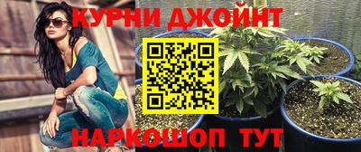 прущие крисы Будённовск