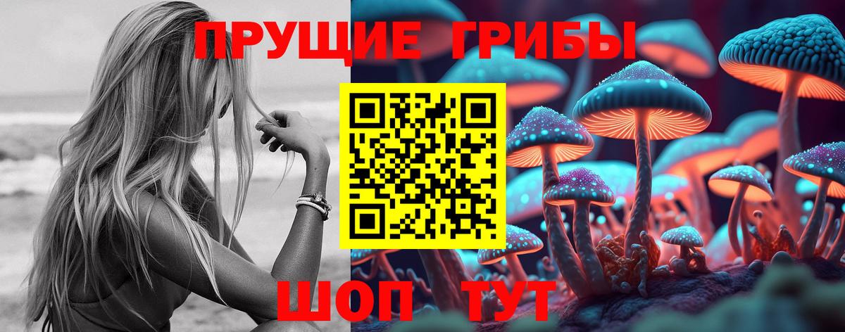 Псилоцибиновые грибы MAGIC MUSHROOMS  Вход с VPN  Ростов Великий 