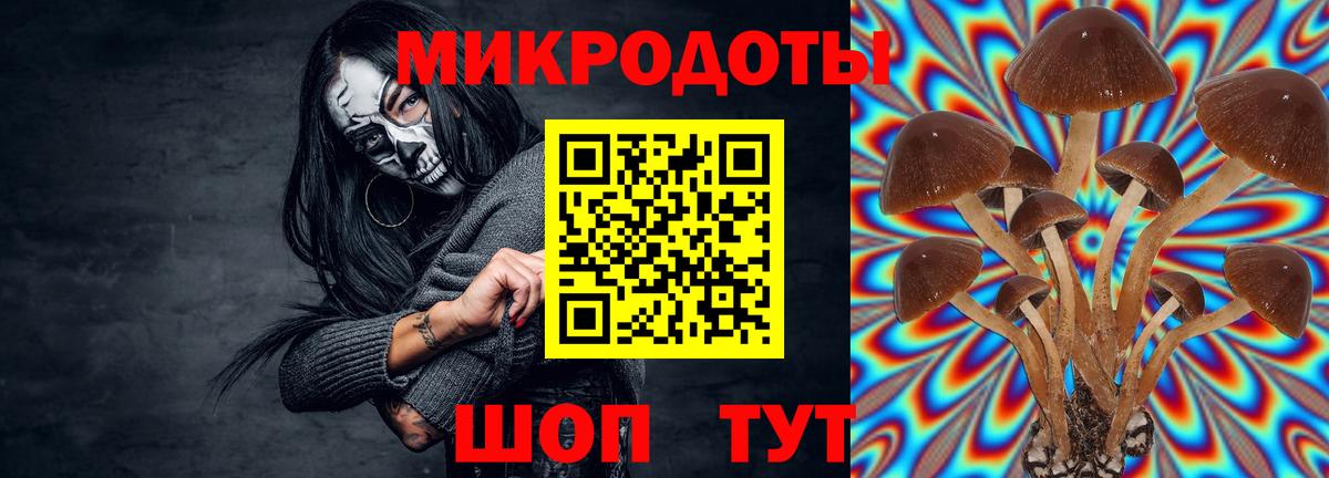 Галлюциногенные грибы мухоморы Ростов Великий